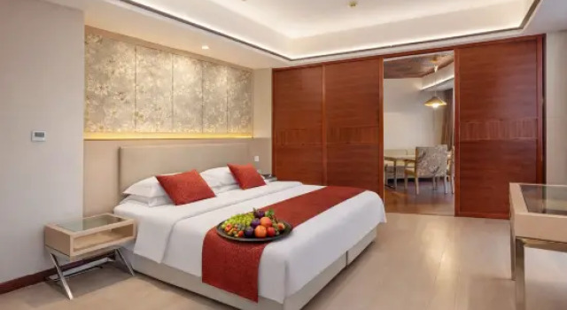 Люкс c 1 комнатой Tao Yuan Impresslon Hotel