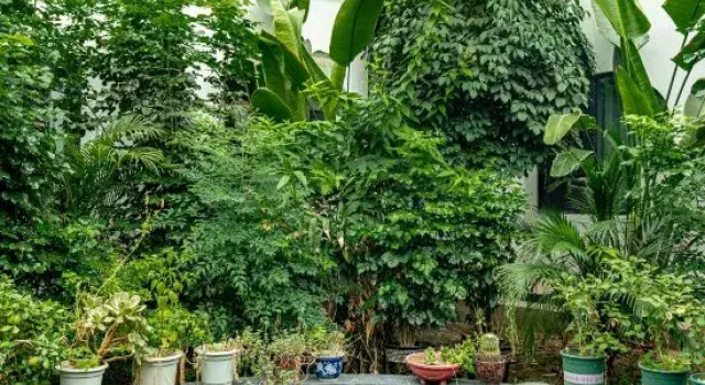 Pudding Yard, Sansu Temple Branch, Meishan, Book Hotel Hoteller i Sichuan med parkering, Parkering