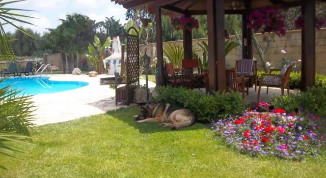 Номер Deluxe B&B Villa Anastasia Club