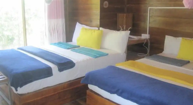 Номер Standard Ella nature nest
