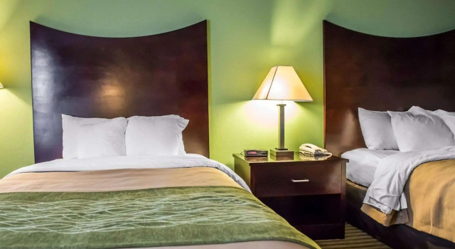 Четырёхместный номер Standard Quality Inn Mill Hall - Lamar