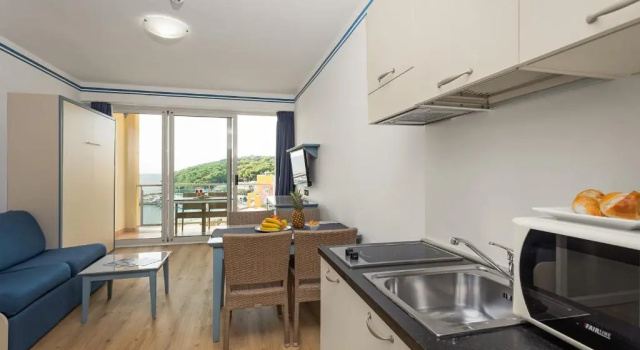 Apartamento Superior 1 dormitorio con balcón y con vista al mar Family Resort del Mar