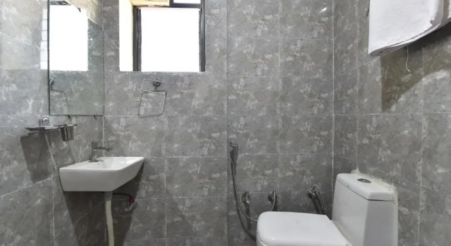 Deluxe huone Diva Pushkar