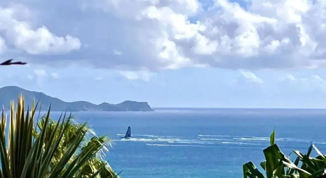 L'Arbre aux Papillons, Marina de Rivières-Sens, Prenota Hotel Gourbeyre Basse-Terre