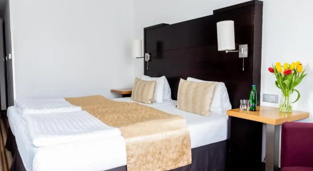 Двухместный номер Comfort Parkhotel Plzen Congress Center