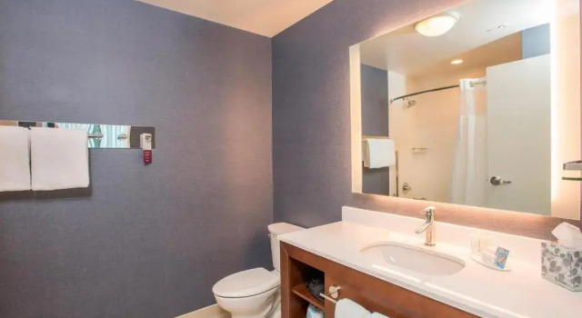 Люкс Residence Inn by Marriott Cincinnati Midtown/Rookwood