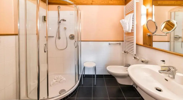 Номер Standard Alpin & Vital Hotel La Perla