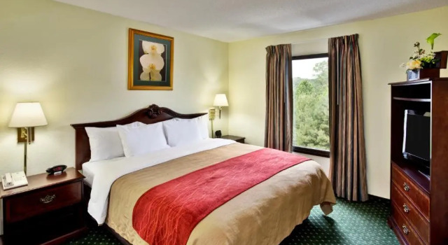 Люкс Comfort Inn Chester - Richmond South