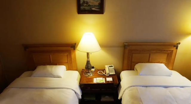 Business dublă cameră cu vedere la oraș Commodore Hotel Busan