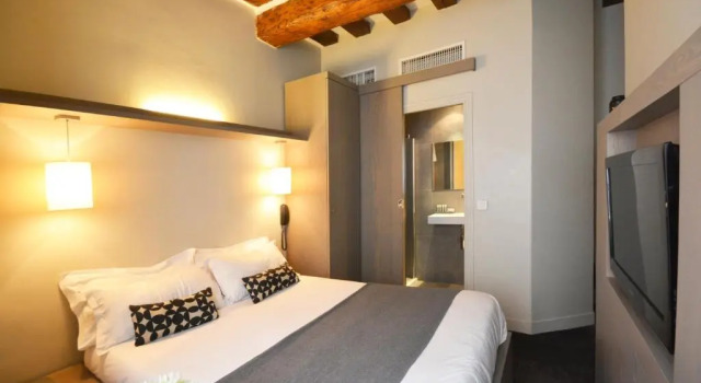 Одноместный номер Standard Villa Des Princes