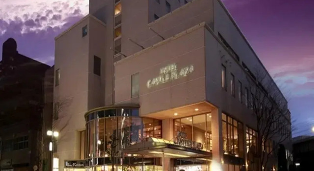 Одноместный номер Standard Hotel Castle Plaza