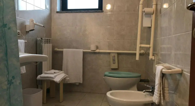 Одноместный номер Economy Ascot Lodging