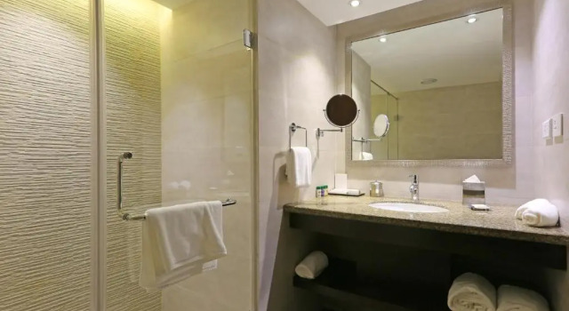 Номер Deluxe Samanvay Boutique Hotel