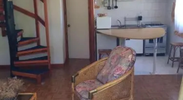 Mirasol de Algarrobo
