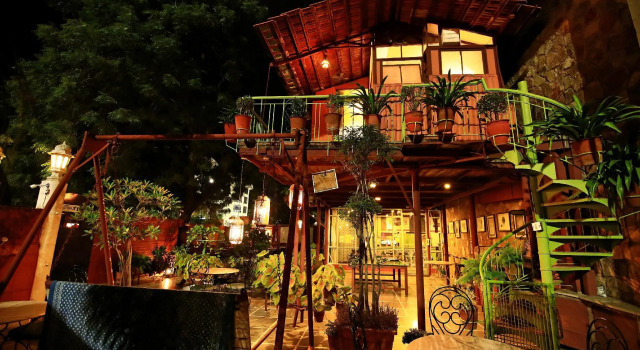 Номер Deluxe Jaipur Inn