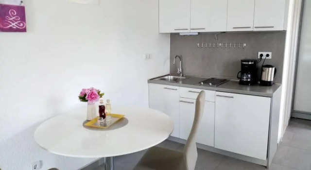Апартаменты Studio apartman Iva
