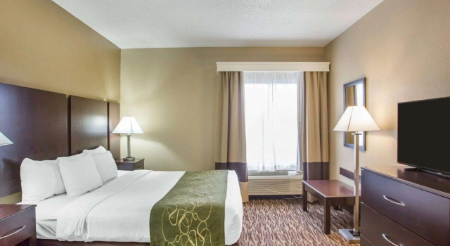 Двухместный люкс Comfort Suites Lebanon