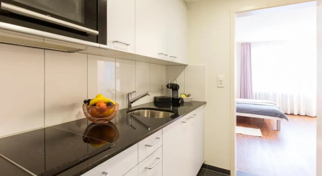 Двухместные апартаменты Apartmenthaus zum Trillen Basel City Center