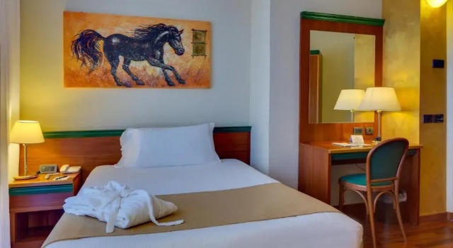 Одноместный номер Superior Hotel Raffaello