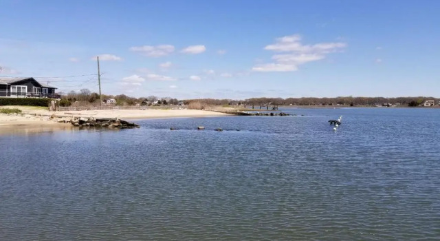 Saybrook Manor House, Walk to Cove Beach!, Book Hotel Old Saybrook Connecticut