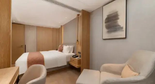 Двухместный люкс Business Shenzhen FY Hotel
