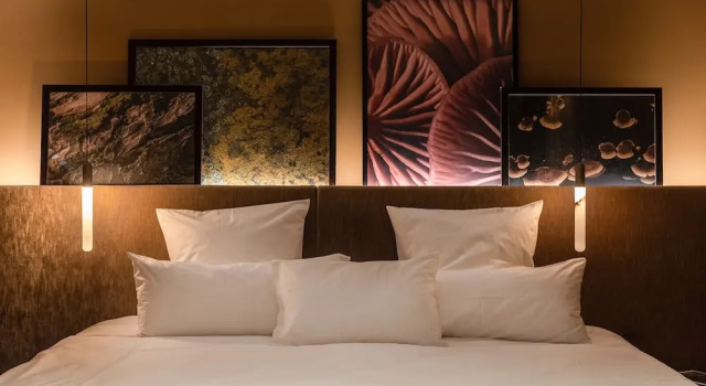 Château de Vignée, Book Hotel SPA-hoteller i Ardennes Belge, SPA