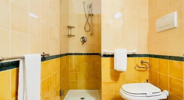 Одноместный номер Standard Hotel Villa Maria Au Lac - Gruppo Estella Hotels