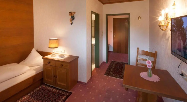 Одноместный номер Standard Hotel Elisabeth
