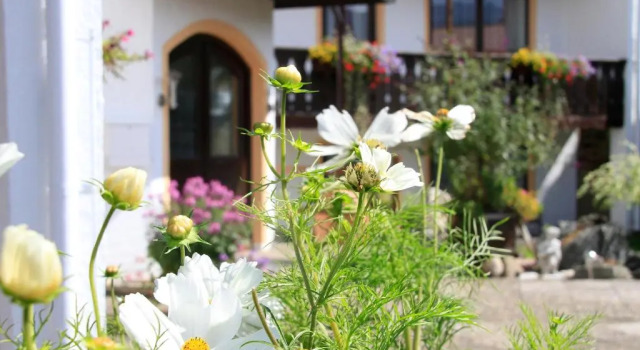 Семейный номер Standard Hotel Alpenblick Berghof