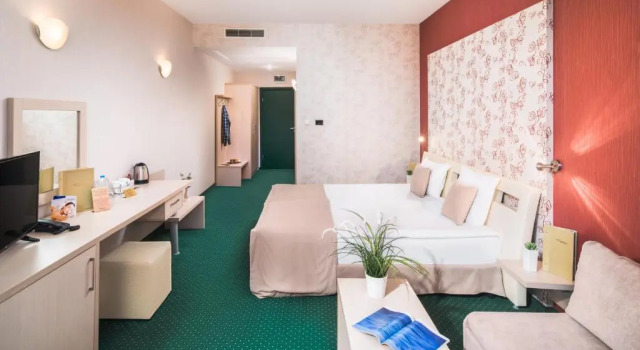 Номер Standard Park & Spa Hotel Markovo