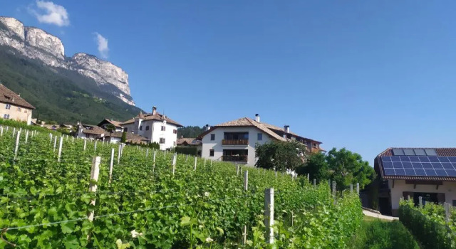 Апартаменты с 2 комнатами Weingut Lahn zu Eppan