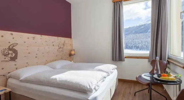 Двухместный номер Standard с видом на озеро Hotel Waldhaus am See