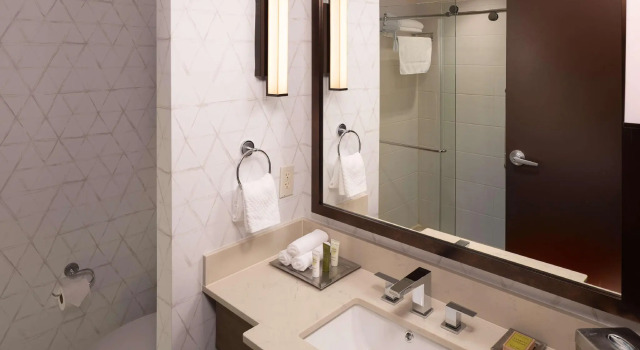 Двухместный номер Standard Hilton Asheville Biltmore Park