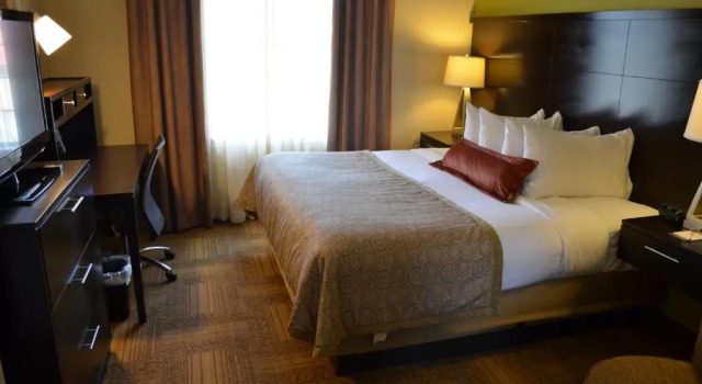 Suite Staybridge Suites Longview