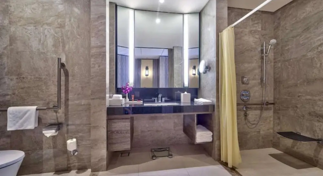 Двухместный номер Deluxe Conrad Manila