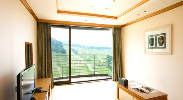 Номер Standard с красивым видом из окна Wellihilli Park Resort