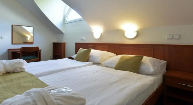 Семейный люкс Spa Resort Libverda - Hotel Lesní Zátiší