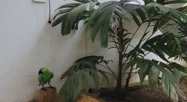 Pousada Paraty Graziela