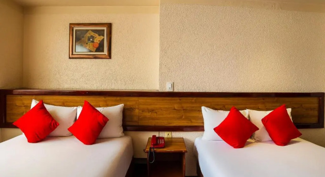 Camera doppia Standard Hotel Don Simón