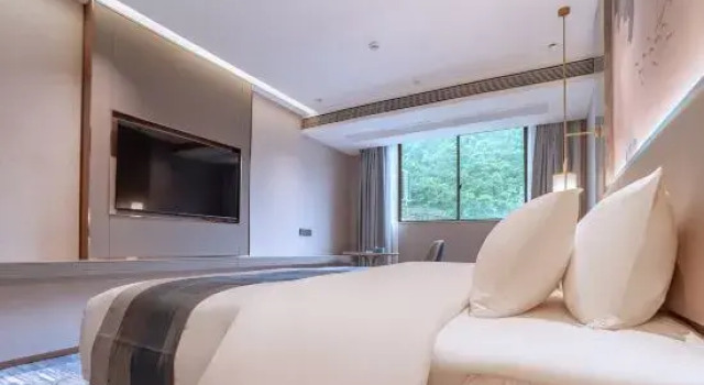 Люкс Superior Guanlan International Hotel