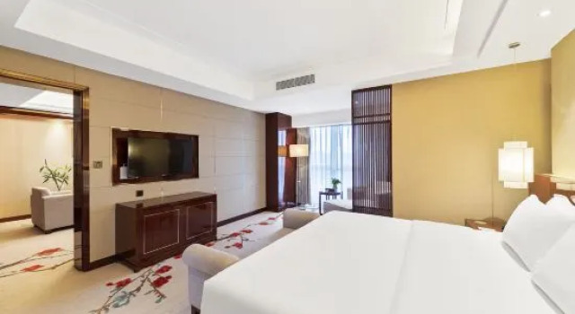 Suite Executive Royal View Hotel