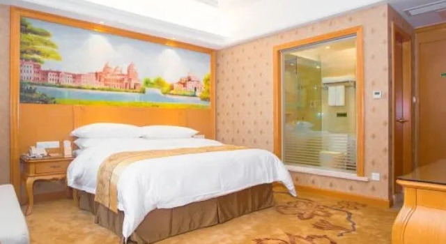 Семейный люкс Venus International Hotel Hankou North Branch