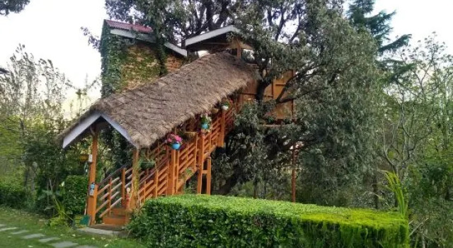 Manali Treehouse Cottages
