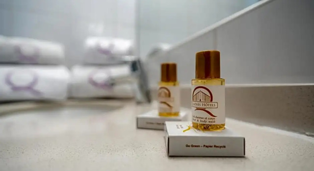 Номер Standard Hôtel Ours Blanc - Centre
