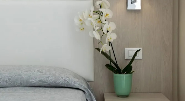 Двухместный номер Comfort c 1 комнатой с видом на сад Albergo Battelli Only Adults
