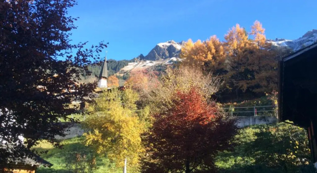 Шале Chalet Protea
