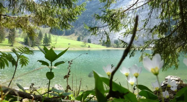 Berghotel Obersee, Prenota Hotel Glarus Nord Glarus