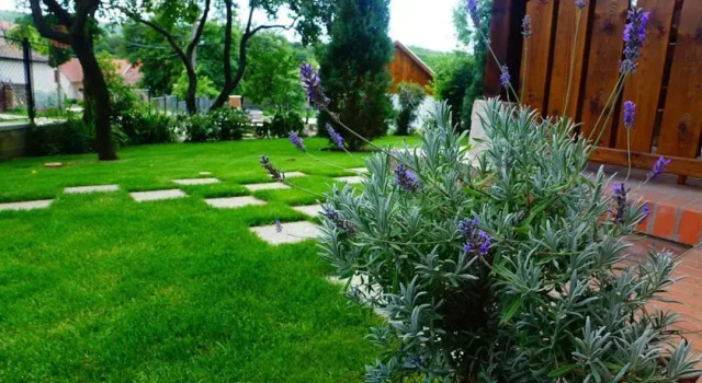 Levendula Vendégház, Rezervovat Hotel Hotely v Central Transdanubia s parkováním, Parkování