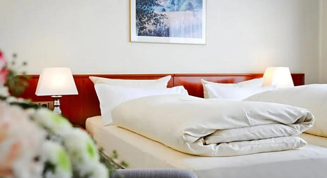 Номер Standard Hotel Gasthaus Appel Krug