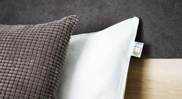 Номер Standard Lemon Plaza Hotel